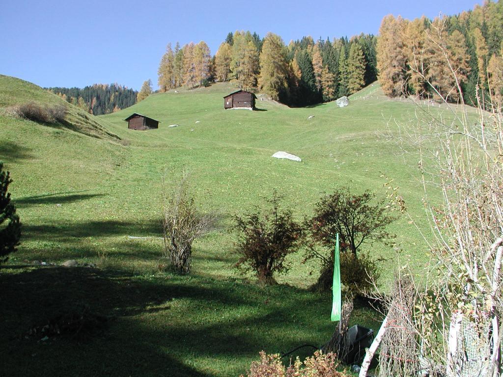 Ferienwohnung Gadenstatt Davos Exterior photo